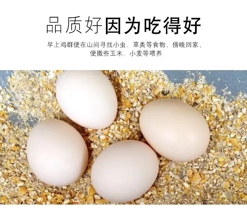 來(lái)自生態(tài)農(nóng)場(chǎng)山林散養(yǎng)的溜達(dá)雞原生態(tài)雞蛋批發(fā)