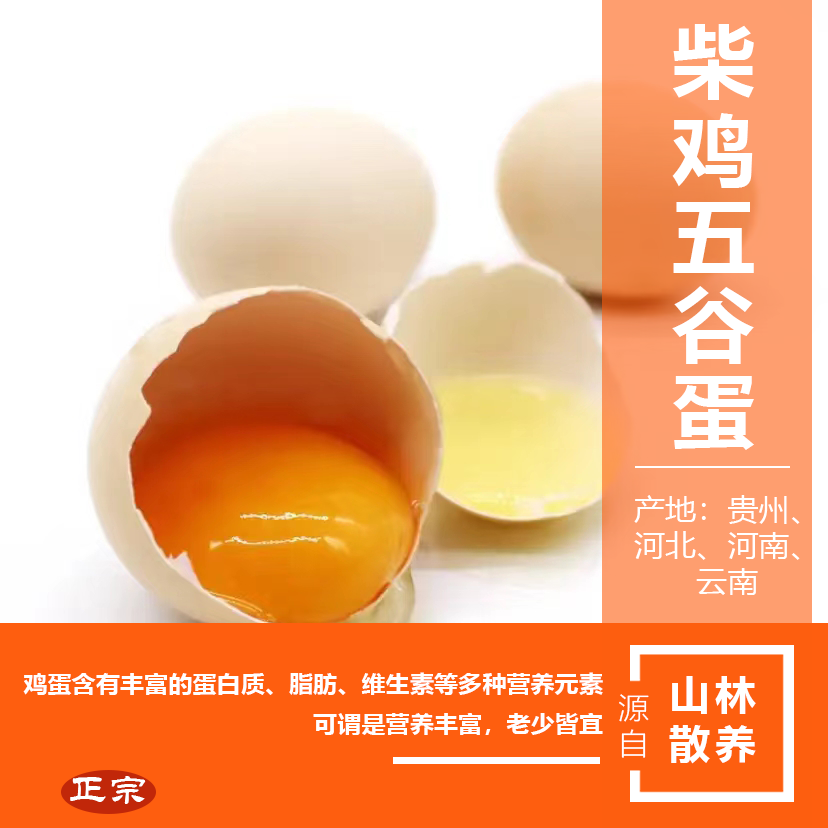 自家山林散養(yǎng)柴雞五谷蛋，小時(shí)候的味道